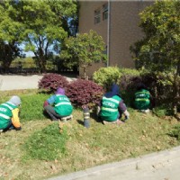 園林養(yǎng)護(hù)--市傳染病醫(yī)院