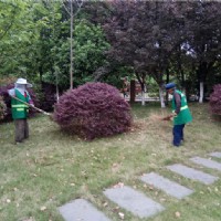 園林養(yǎng)護(hù)--市中醫(yī)院南院