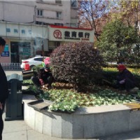 園林養(yǎng)護(hù)--市人民醫(yī)院