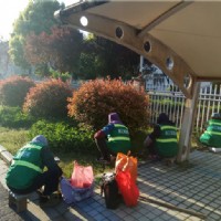 園林養(yǎng)護(hù)--市中醫(yī)院南院2