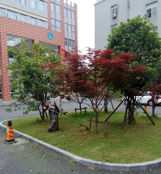 綠化養(yǎng)護(hù)