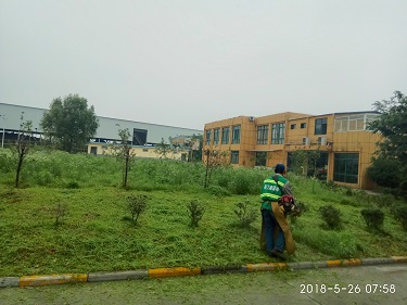 北京利爾公司廠內(nèi)綠化養(yǎng)護(hù)